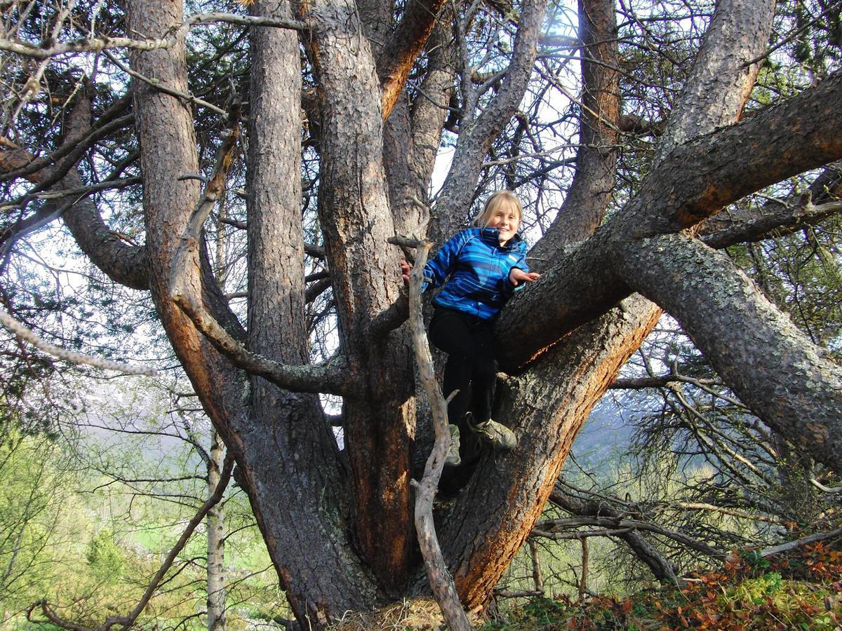Strind Gard, Visdalssetra Villa Boverdalen Dış mekan fotoğraf